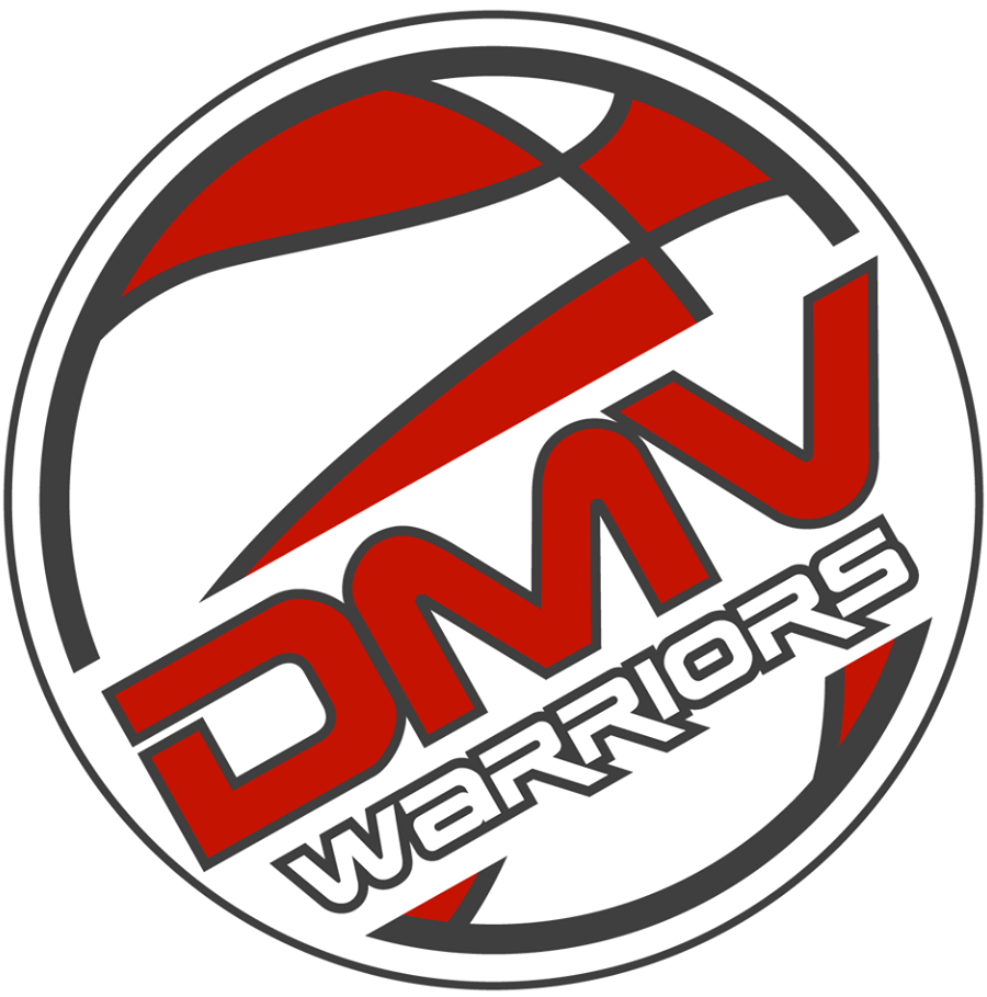 DMV Warriors 2015-Pres Primary Logo iron on transfers for clothing